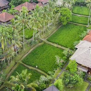 Station touristique Ananda, Ubud