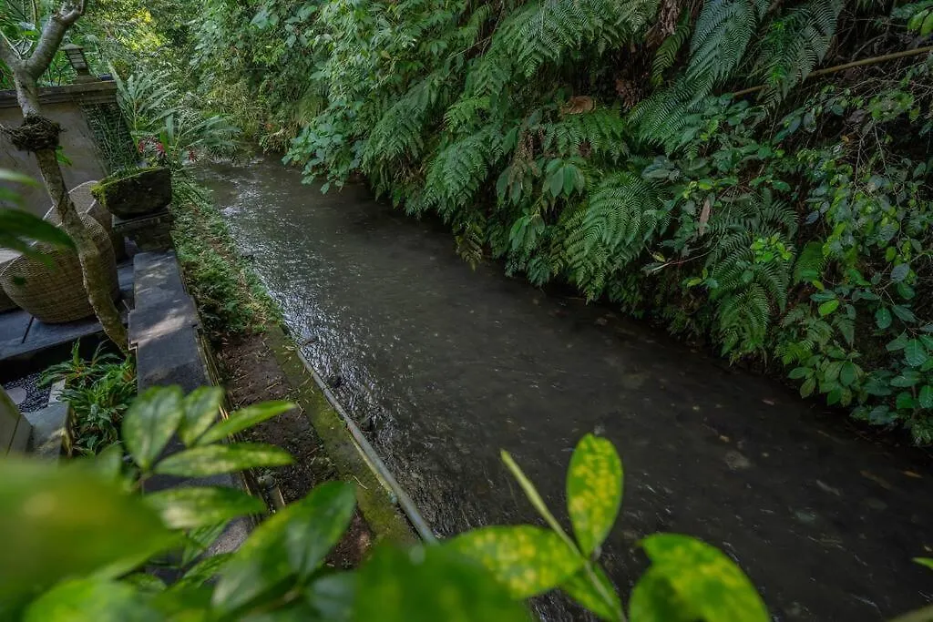 Villa Ubud River Villa, Pool, River View